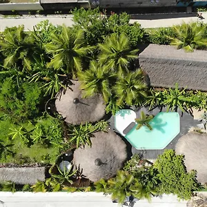  Alojamento de Turismo Selvagem Beira Mar Ococoloco Brasil